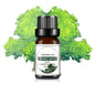 Mango Pineapple Fragrance Oil 10 mL (0.34 fl oz) – Natural Fruit Scent for Diffusers, DIY Soap & Candles
