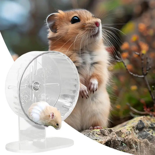 Silent Transparent Hamster Wheel 7.1 in (18 cm) Acrylic Exercise Wheel for Hamsters & Gerbils