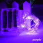 Battery Operated LED Fairy Lights – Copper Wire String Lights for Bedroom, Christmas & Parties | 20–100 LEDs, 2–10 m (6.6–32.8 ft), AA Powered, Multicolor