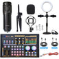 External Sound Card Studio Mixer with Noise-Reduction Microphone for Live Streaming, TikTok, Podcasting