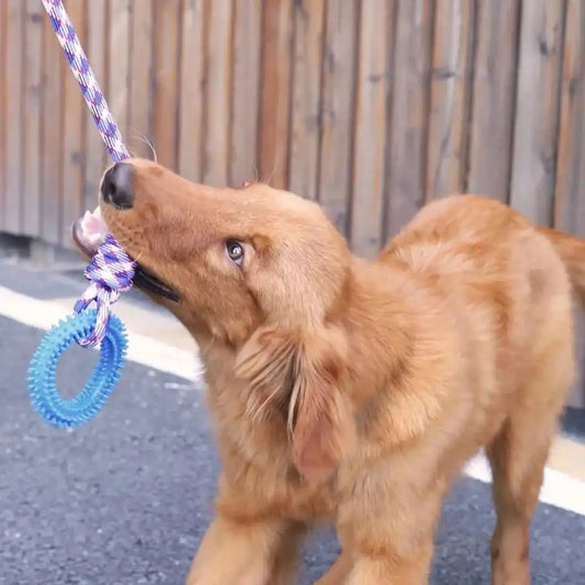 Interactive Spiked Dog Ring Toy - Rubber Chew for Teeth Cleaning & Training