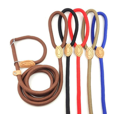 Adjustable Nylon Dog Collar and Harness with Quick-Release Leash, Lightweight Durable Pet Lead for Dogs and Cats