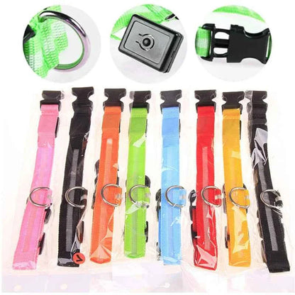 LED Pet Dog Collar for Night Safety | Bright USB Rechargeable