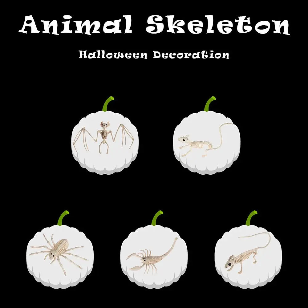 Halloween Animal Skeleton Model, Spider, Mouse or Bat