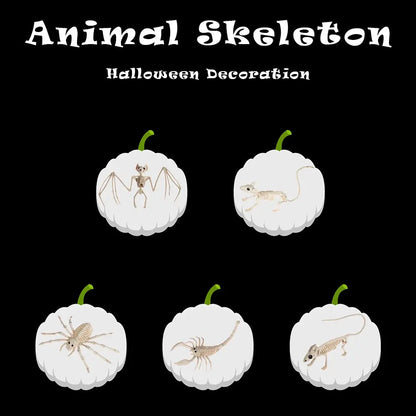 Halloween Animal Skeleton Model, Spider, Mouse or Bat