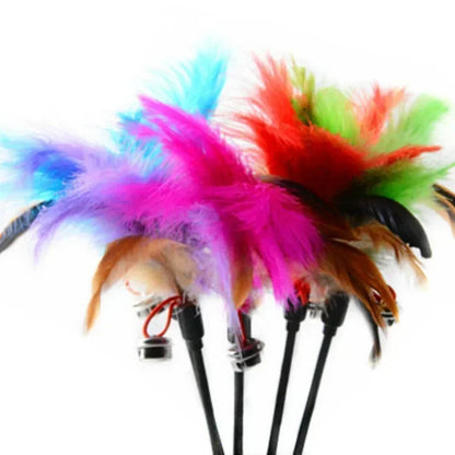 2-Pack Feather Wand for Cats with Bell — Interactive Cat Teaser Toy