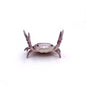 Cute Mini Crab Pen Holder – Desktop Pen Cup Novelty Stationery Organizer