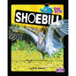 Shoebill - Paperback