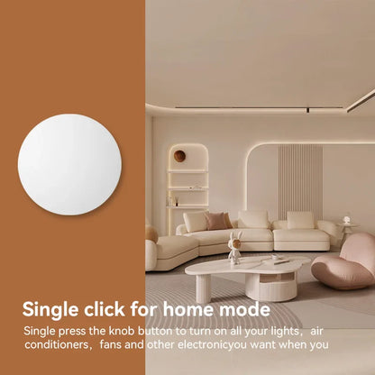 Zigbee Smart Wireless Button Switch - Smart Scene Controller for Voice Assistants