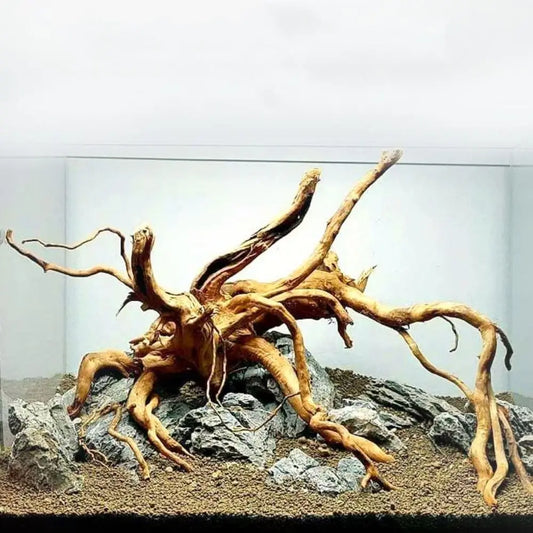 Large Natural Driftwood Aquarium Decor Tree Stump for Fish Tank, Plant & Terrarium Landscaping