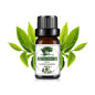 10 ml (0.34 fl oz) Mango & Pineapple Fragrance Oil for Diffuser, DIY Soap and Candle Making - Natural Plant-Based Blend