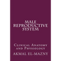 Male Reproductive System: Clinical Anatomy and Physiology - Paperback