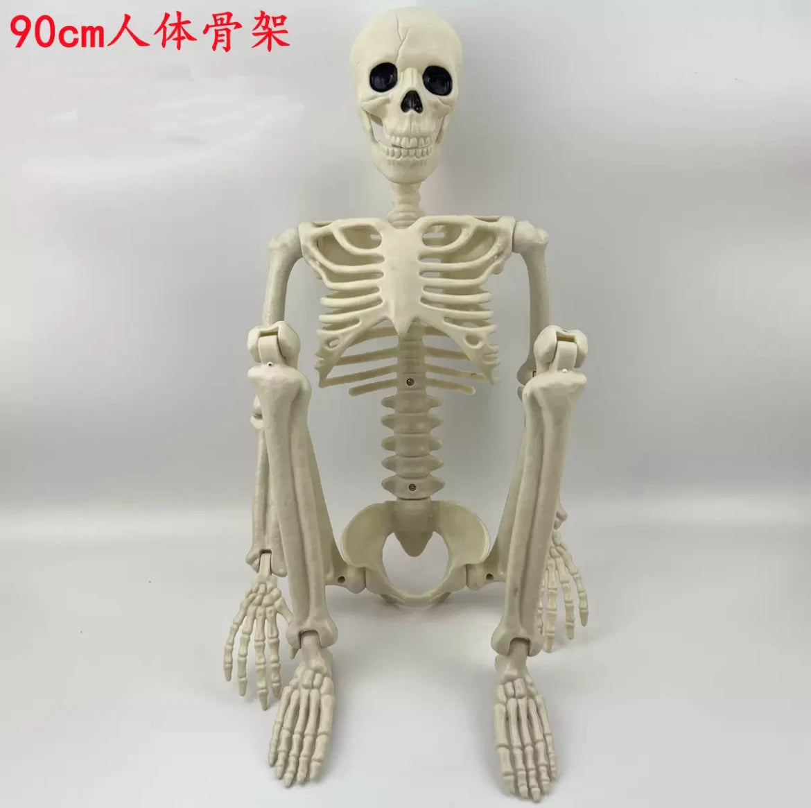 Halloween Skeleton Decoration - Movable 90 or 165 cm Prop