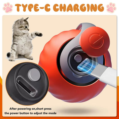 Interactive Speedy Tail Cat Ball Toy with Tail — USB Rechargeable, Dual-Speed Automatic Cat Toy