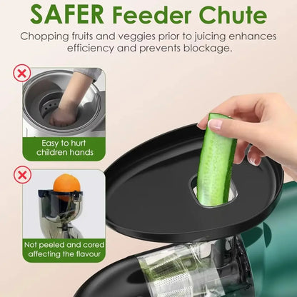 LUFVEBUT BP-8038 Slow Masticating Juicer, 200 W