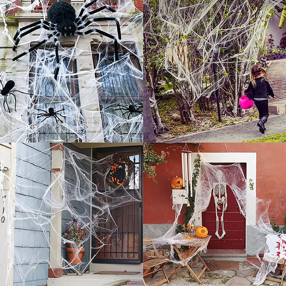 Stretchy Spider Web Halloween Decoration with Spider