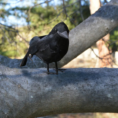 Artificial Crow Halloween Decoration, Feather Prop