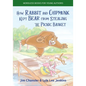 How Rabbit and Chipmunk Kept Bear from Stealing the Picnic Basket - Paperback