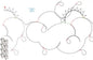 272 Breaking Storm Pantograph by Linda V. Taylor
