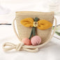 Girls Daisy Straw Mini Messenger Bag, Kids Shoulder Handbag with Coin Purse