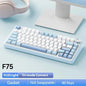 75% RGB Mechanical Gaming Keyboard — 78-Key Hot-Swappable Gasket Mount, 2.4G Wireless/Bluetooth/Wired, OEM Profile