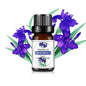 Mango Pineapple Fragrance Oil 10ml (0.34 fl oz) Natural Fruit Scent for Diffusers, Candles & Soap Making