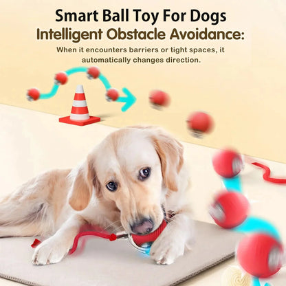 Rechargeable Interactive Rolling Ball Toy for Dogs & Cats — Automatic Smart Obstacle-Avoiding Pet Play Ball