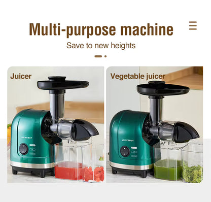 LUFVEBUT BP-8038 Slow Masticating Juicer, 200 W