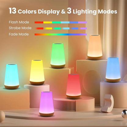 13-Color Touch & Remote RGB Rechargeable Night Light - Dimmable USB Portable Bedside Table Lamp