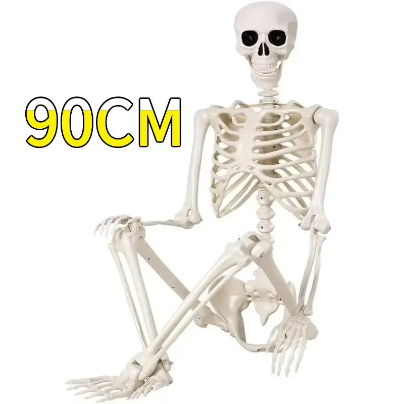 Halloween Skeleton Decoration - Movable 90 or 165 cm Prop