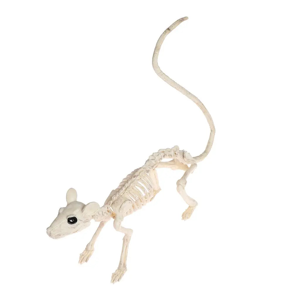 Halloween Animal Skeleton Model, Spider, Mouse or Bat
