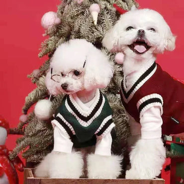 Small Dog Winter Sweater - V-Neck College Style Knitwear