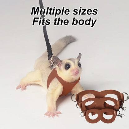 4-Pack Escape-Proof Adjustable Small Animal Harness & Leash Set — Hamsters, Sugar Gliders, Squirrels