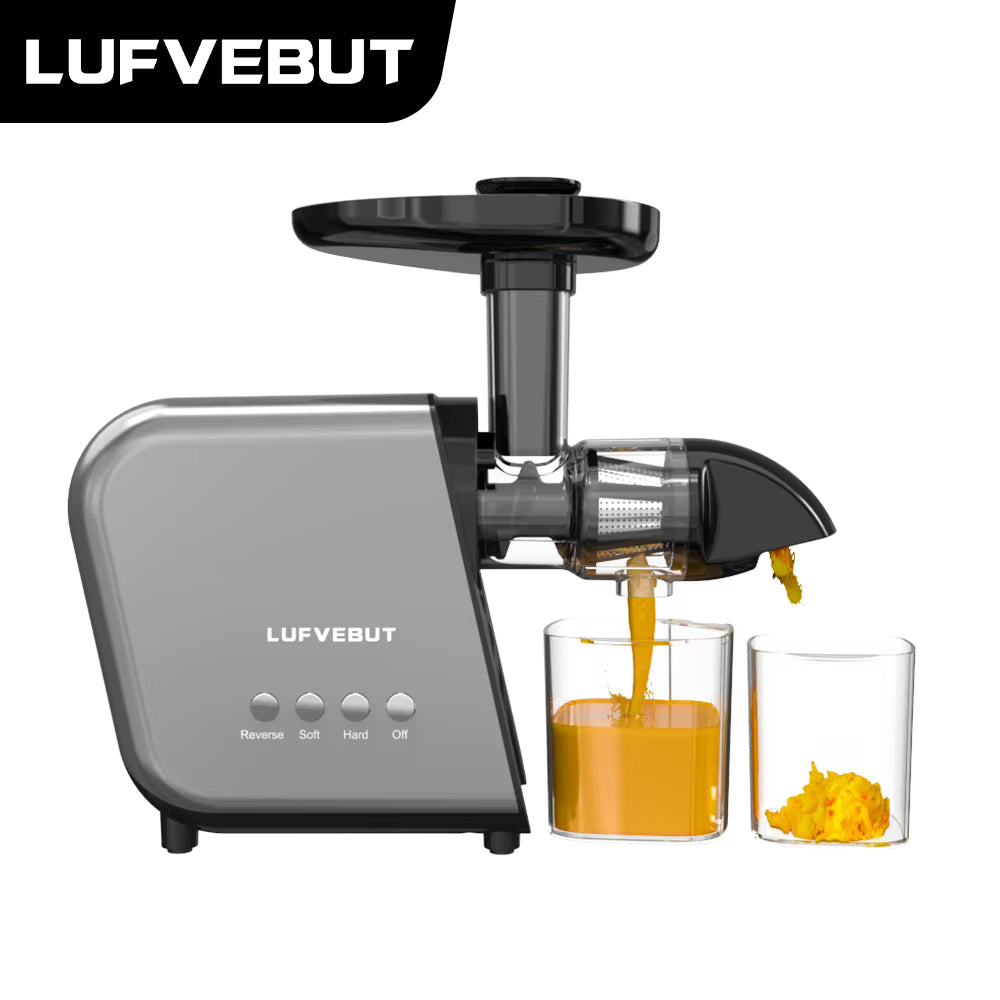 LUFVEBUT BP-8038 Slow Masticating Juicer, 200 W