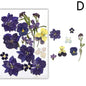 For Fun DIY Embossed Dried Flower Resin Fillings Real Flower for Home Decoration Nail Art Handicrafts Jewelry Making Crafts