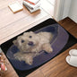 VIKAMA Adorable Dachshund Absorbent Non Slip Doormat Easy Clean Wear Resistant Entryway Rug Cute Pet Home Decor Mat