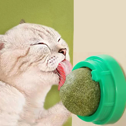 Catnip Wall Stick-On Ball Toy for Cats — Adhesive Cat Grass Treat Ball for Digestion & Scratching