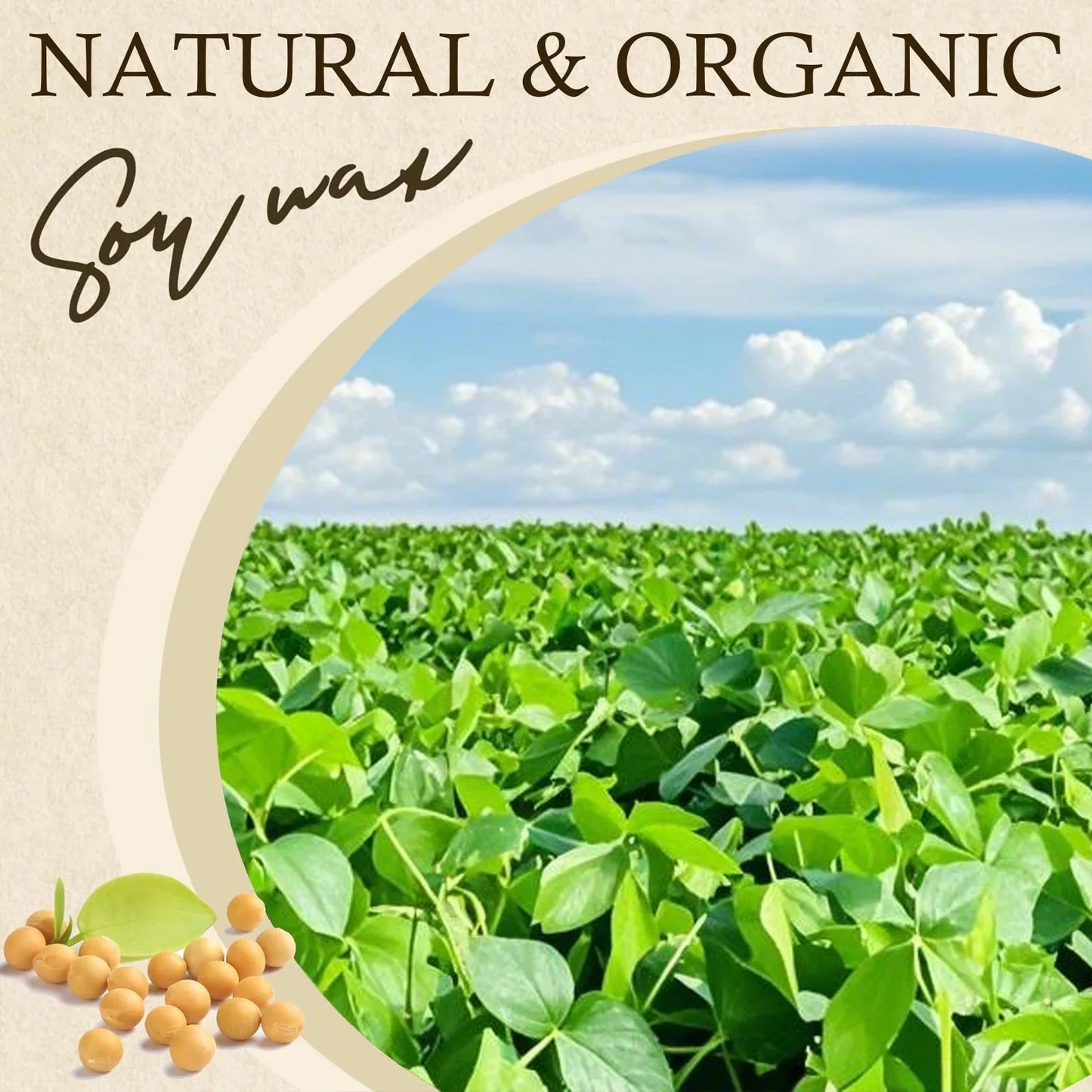 Natural Soy Wax Flakes for Candle Making — 100g to 1000g, 100% Additive-Free