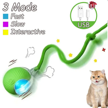 2-Pack Rechargeable Interactive Rolling Cat Ball Toy with Faux Tail — Smart Electric Pet Toy