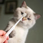 Complete Pet Toothbrush And Toothpaste Kit
