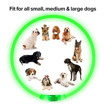 LED Pet Dog Collar for Night Safety | Bright USB Rechargeable