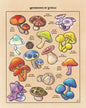 Video Game Inspired Flora of Hyrule Koroks Posters Mushroom World Plant Book Canvas Painting Print Wall Picture Game Room Decor