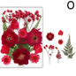 For Fun DIY Embossed Dried Flower Resin Fillings Real Flower for Home Decoration Nail Art Handicrafts Jewelry Making Crafts