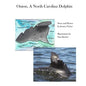 Onion, a North Carolina Dolphin - Paperback