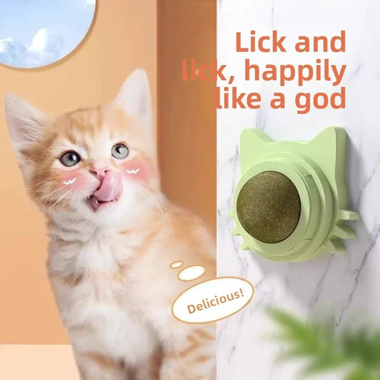 Catnip Ball Cat Toy – Bite-Resistant Self-Play Chew Toy for Kittens & Cats