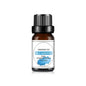 Mango Pineapple Fragrance Oil 10ml (0.34 fl oz) Natural Fruit Scent for Diffusers, Candles & Soap Making
