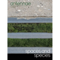 Antennae #56 Spaces and Species - Paperback