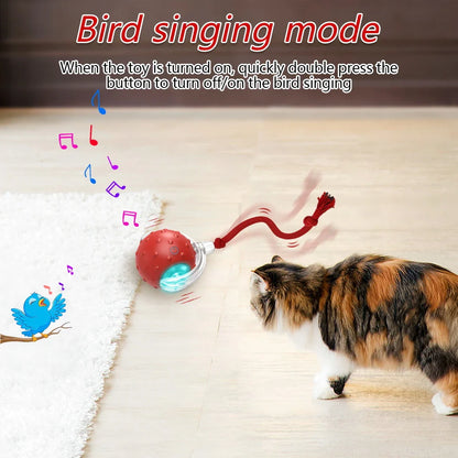 Motion-Activated Interactive Cat Toy Ball with Chirping Bird Sound & LED Rolling Teaser for Kittens