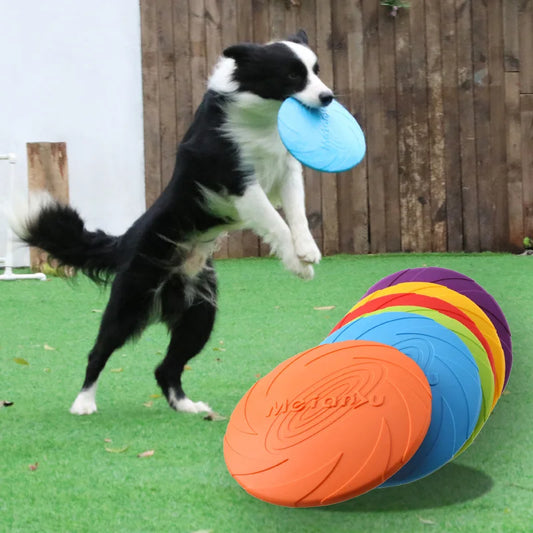 Bite-Resistant Dog Flying Disc — Durable Puppy Training & Outdoor Interactive Fetch Toy