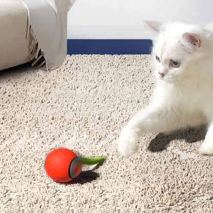 USB Rechargeable Interactive Cat Toy Ball – Automatic Moving Ball with Replaceable Tail, Dual-Speed for Indoor Cats